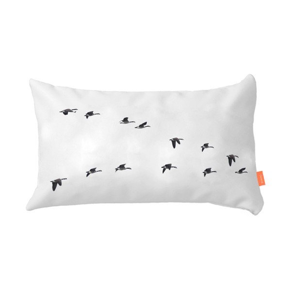 Sada 2 bavlněných povlaků na polštář Blanc Trip-image-4