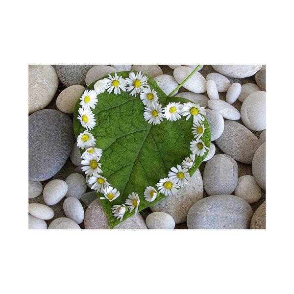 Předložka Zerbelli Aretto, 75 x 52 cm-image-2