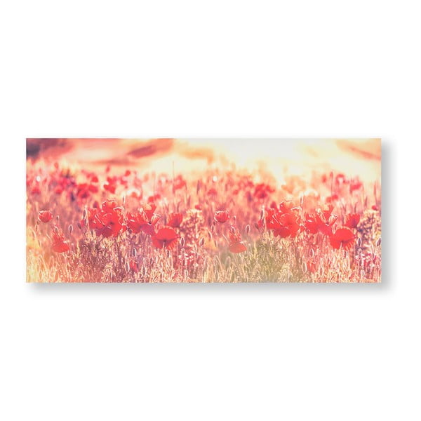 Obraz Graham & Brown Peaceful Poppy Fields, 100 x 40 cm