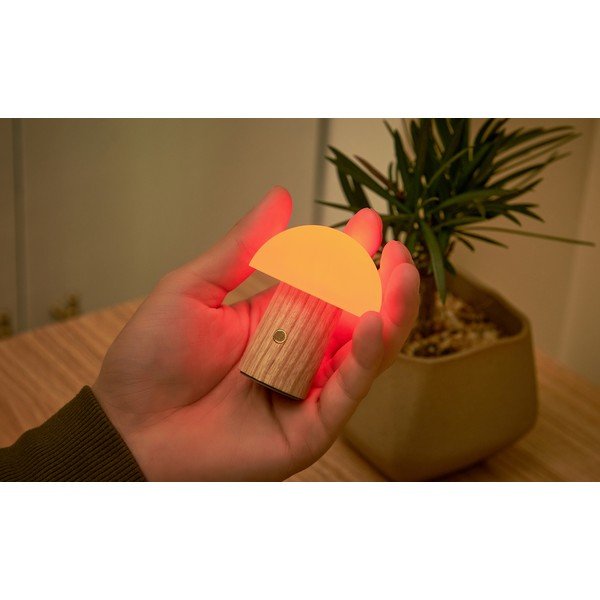 LED stmívatelná stolní lampa z jasanového dřeva v přírodní barvě (výška 7 cm) Alice – Gingko-image-4