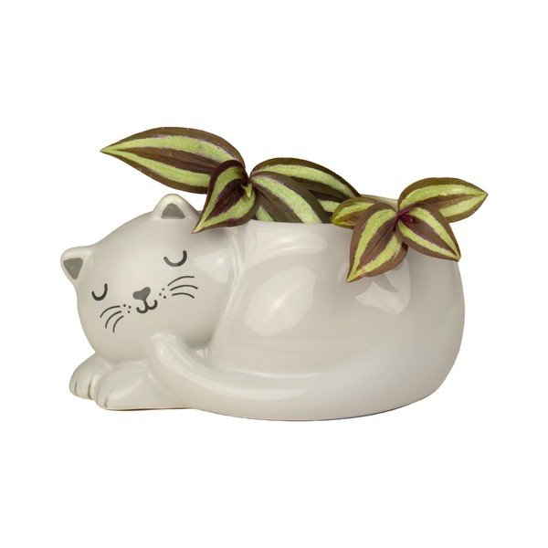 Keramický obal na květináč Sleeping Cat – Sass & Belle-image-1
