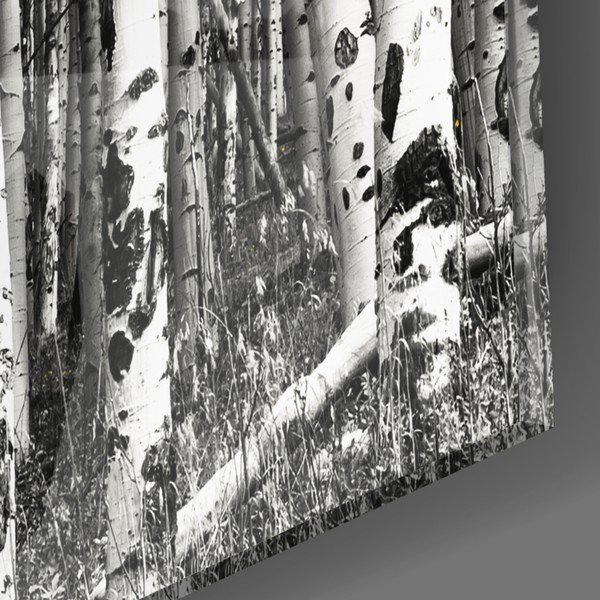 Skleněný obraz Insigne Yellow Forest, 110 x 70 cm-image-2