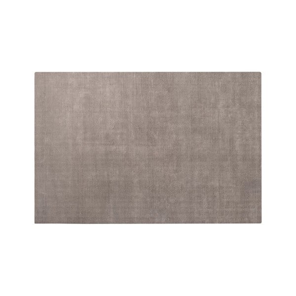 Hnědý koberec z viskózy 160x240 cm Visca – Blomus