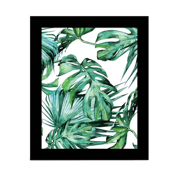 Obraz Alpyros Jungle, 23 x 28 cm
