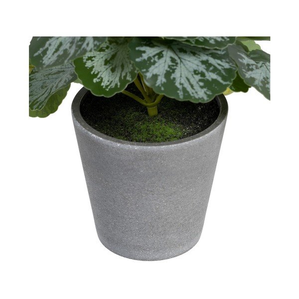 Umělá rostlina (výška 21,5 cm) Saxifraga – Ixia-image-2