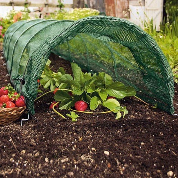 Zahradní textilie – Garden Pleasure-image-1