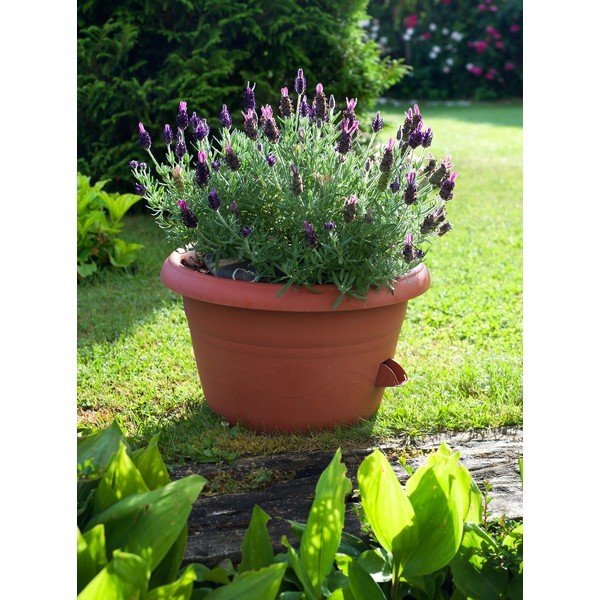 Hnědý samozavlažovací květináč Plastia Siesta, ø 25 cm-image-1