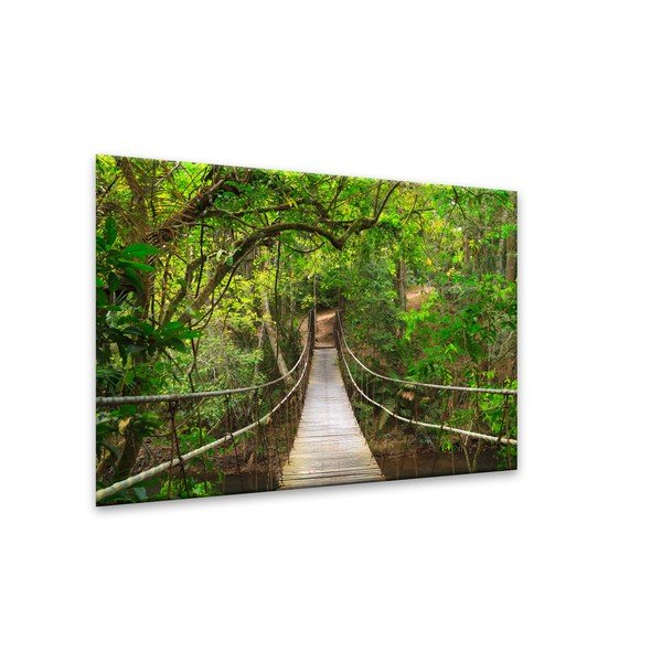 Obraz Styler Glas Nature Forest Bridge, 80 x 120 cm-image-1
