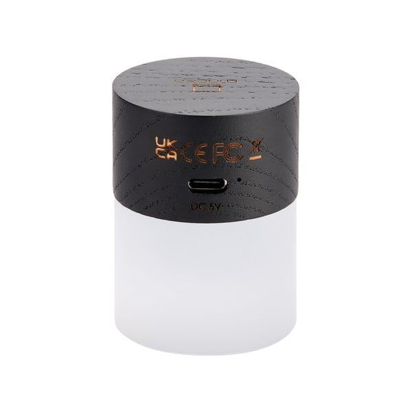 Černá světelná dekorace na USB ø 4,5 cm Lemelia – Gingko-image-4