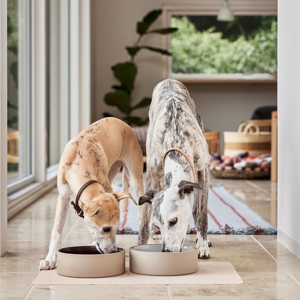Keramická miska pro psa ø 17 cm Sia – OYOY Living Design-image-3