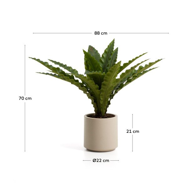 Umělý sukulent (výška 70 cm) Neottopteris – Kave Home-image-4