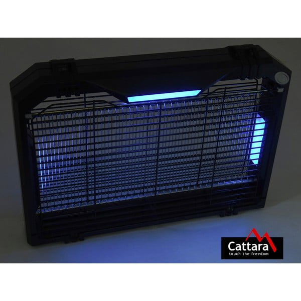 Lapač hmyzu – Cattara-image-1