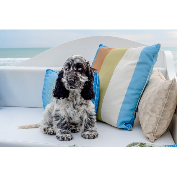 Dekorační polštář 50x50 cm Vivero - Madison-image-1