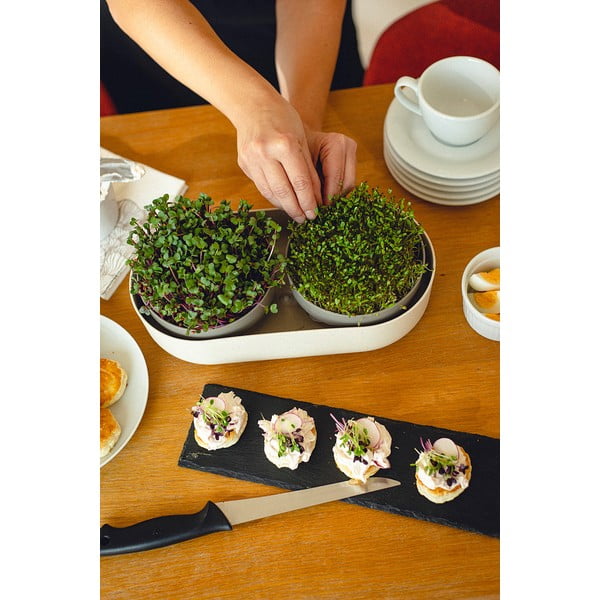 Sada klíčících misek Velká farma Microgreens & Regrow - Plastia-image-3