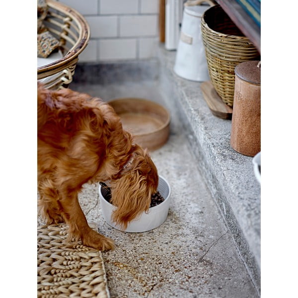 Kameninová miska pro psa ø 17,5 cm Buddy – Bloomingville-image-1