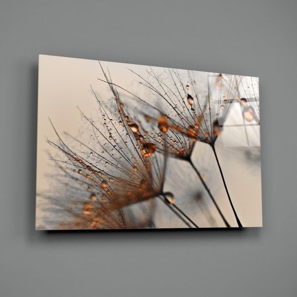 Skleněný obraz Insigne Cinnamon Dandelion, 72 x 46 cm-image-3