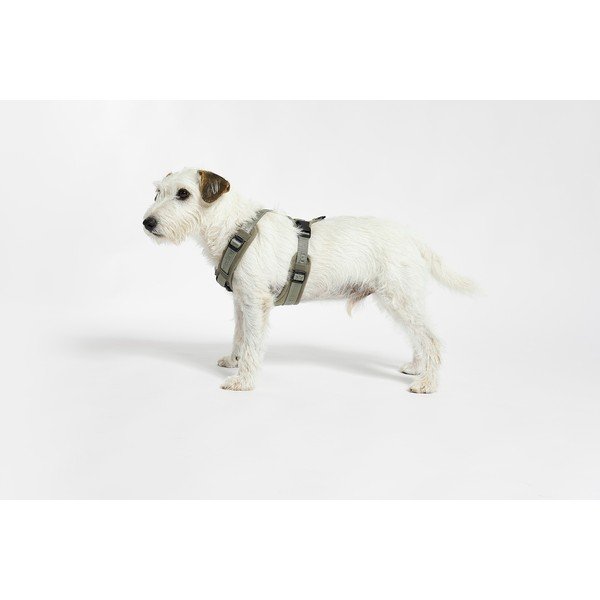 Zelený postroj velikost S délka 30 cm Modena Grolive S – MiaCara-image-1