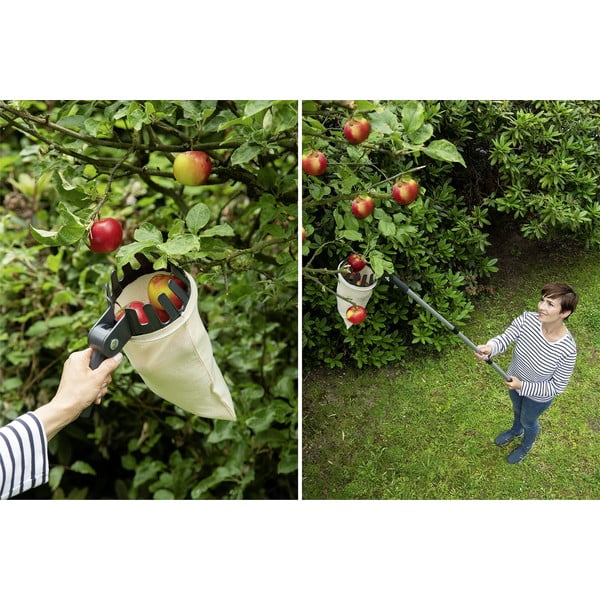 Teleskopický sběrač ovoce - Maximex-image-1