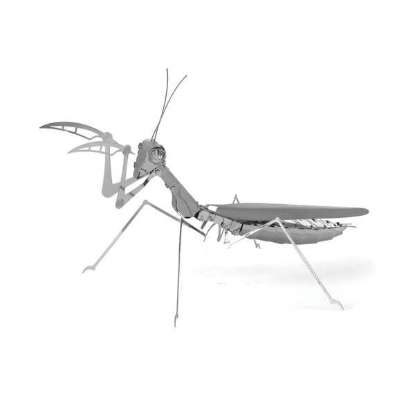 Model Praying Mantis-image-4
