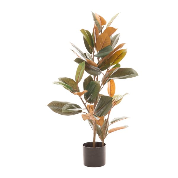 Umělý fíkus (výška 90 cm) Ficus – Ixia