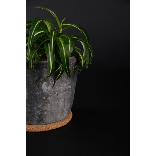 Korková podmiska pod květináč ø 18 cm – Esschert Design-image-1