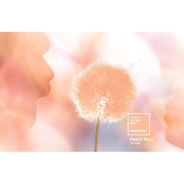 Oranžové poutko na klíče Peach Fuzz 13-1023 – Pantone-image-1