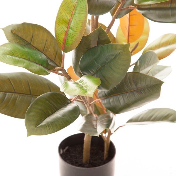 Umělý fíkus (výška 90 cm) Ficus – Ixia-image-2