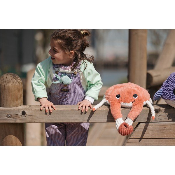 Plyšové hračky v sadě 2 ks Ptipotos Cassecou – Les Deglingos-image-2