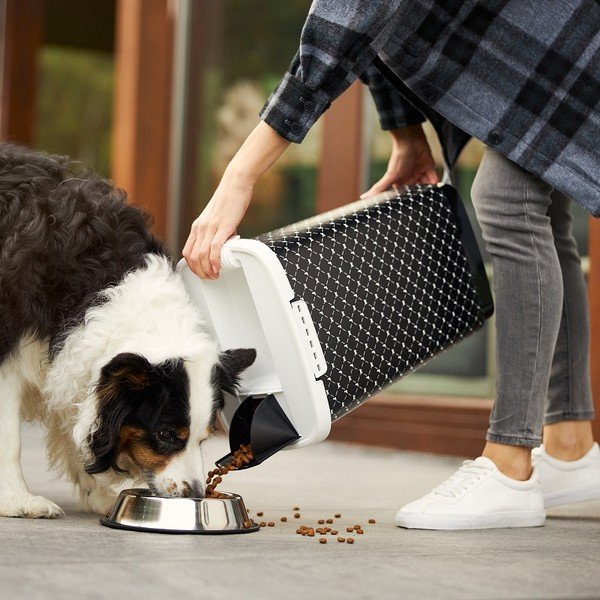 Černý box na granule 50 l Cody - Rotho-image-1