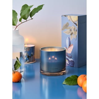 Vonná svíčka doba hoření 50 h Citrus Crush – ILLUME x Bloomingville