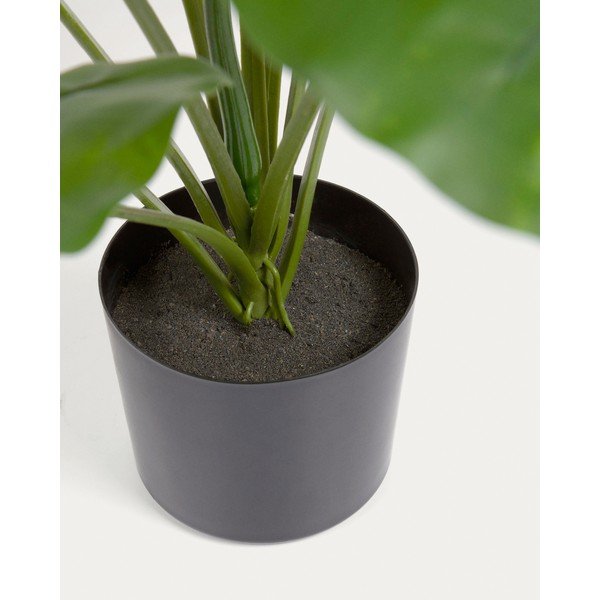 Umělá rostlina (výška 57 cm) Odora – Kave Home-image-4