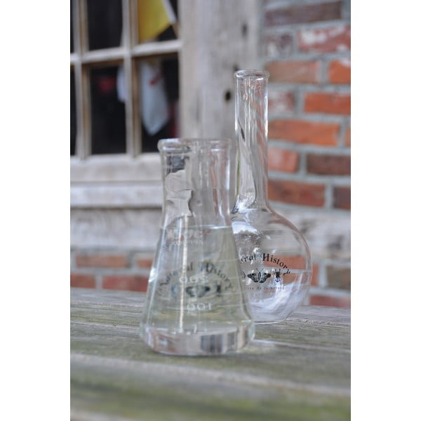 Skleněná váza (výška 23 cm) Natural History – Esschert Design-image-1