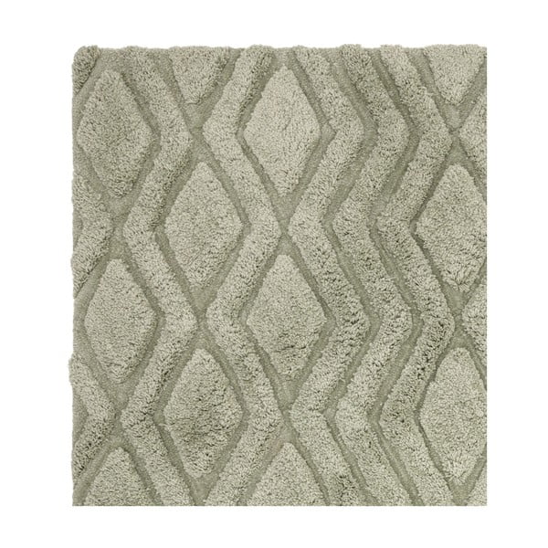 Zelený koberec 170x120 cm Harrison - Asiatic Carpets-image-3