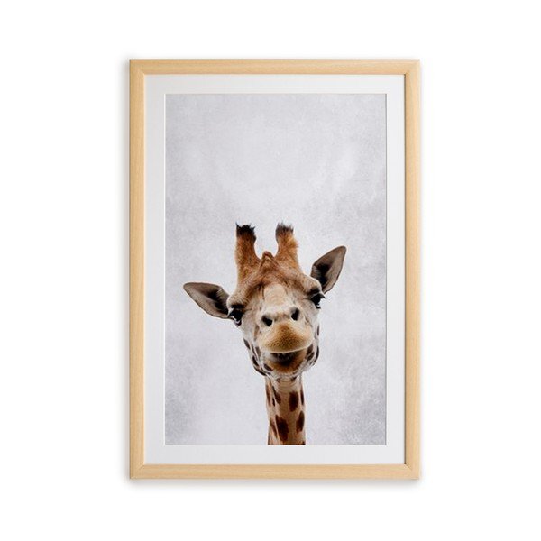 Nástěnný obraz v rámu Surdic Giraffe, 30 x 40 cm