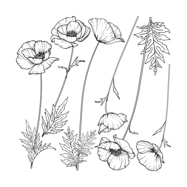 Sada samolepek na zeď Ambiance Poppies-image-1