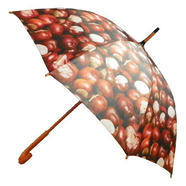 Deštník Chestnust All Over