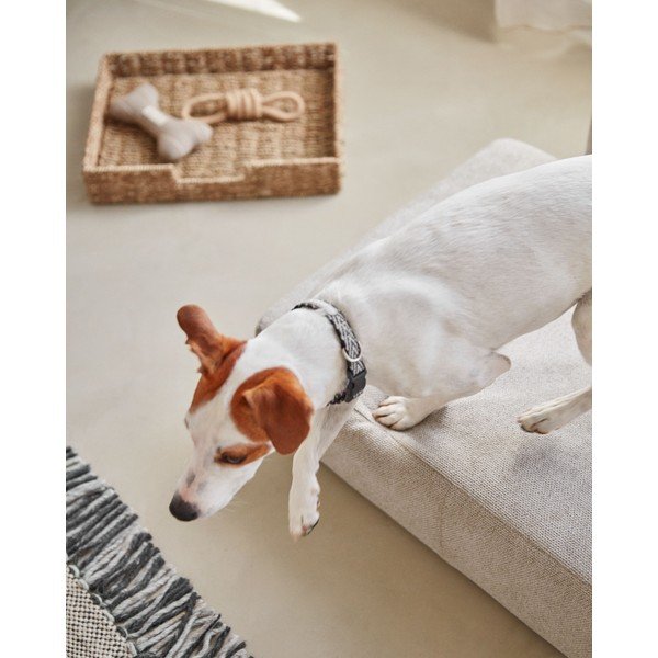 Béžový pelíšek pro psy 73x60 cm Bowie - Kave Home-image-2