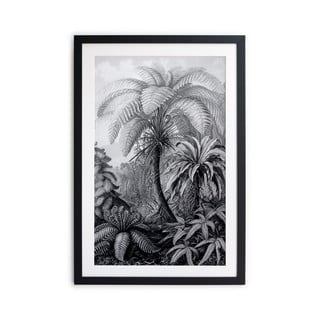 Černobílý plakát Surdic Palm, 60 x 40 cm