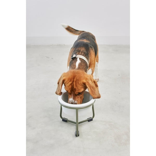 Porcelánová miska s podstavcem pro psa ø 20 cm Pranzo Grolive M – MiaCara-image-1