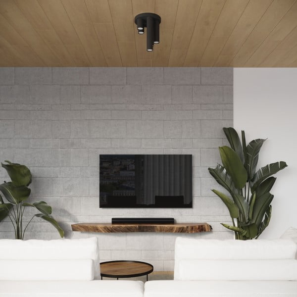 Černé stropní svítidlo Castro – Sollux-image-4