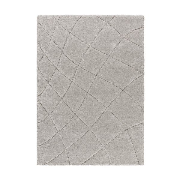 Světle šedý koberec 60x120 cm Molier – Universal