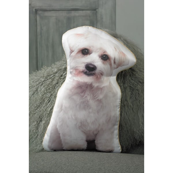 Polštářek s potiskem Maltézáčka Adorable Cushions-image-1