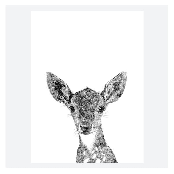Plakát Darcy The Deer, 30x40 cm