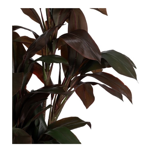 Umělá rostlina (výška 170 cm) – Ixia-image-2