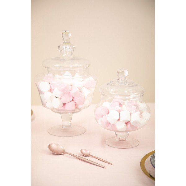 Skleněná dóza na sušenky Olivia – Premier Housewares-image-1