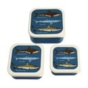 Tmavě modré dětské svačinové boxy v sadě 3 ks Sharks – Rex London