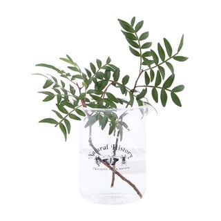 Skleněná váza (výška 12 cm) Natural History – Esschert Design