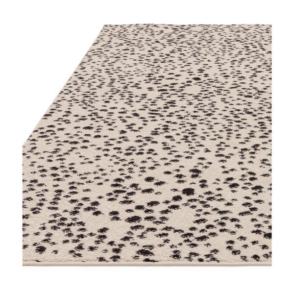 Černo-bílý koberec 160x230 cm Muse – Asiatic Carpets-image-4