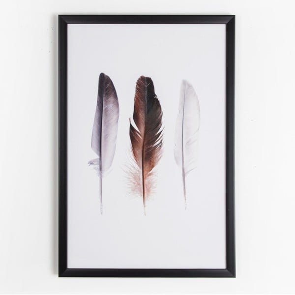 Obraz Graham & Brown Feather Trio, 40 x 60 cm