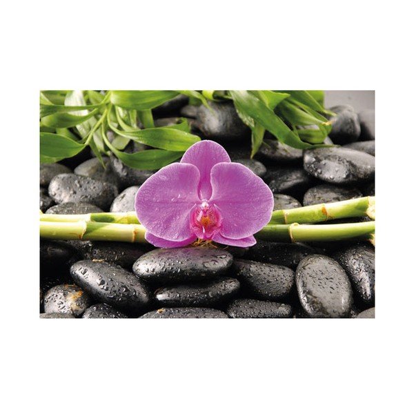 Fotoobraz Orchidea, 51x81 cm